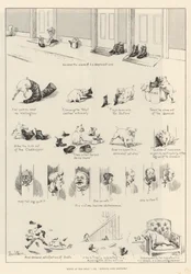 Stiefel im Schwan; oder, Nichts geht über Leder